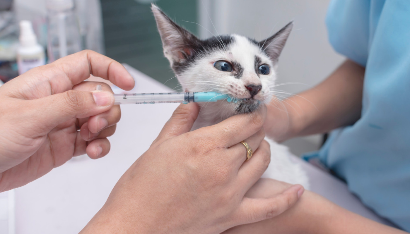 Labo Demeter, le laboratoire vétérinaire de confiance pour trouver des vermifuges pour animaux